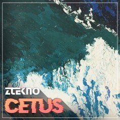 Cetus Cetus