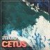 Cetus