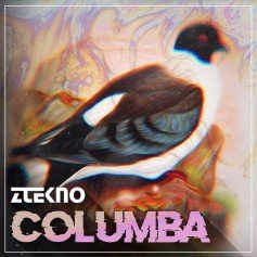 Columba Columba