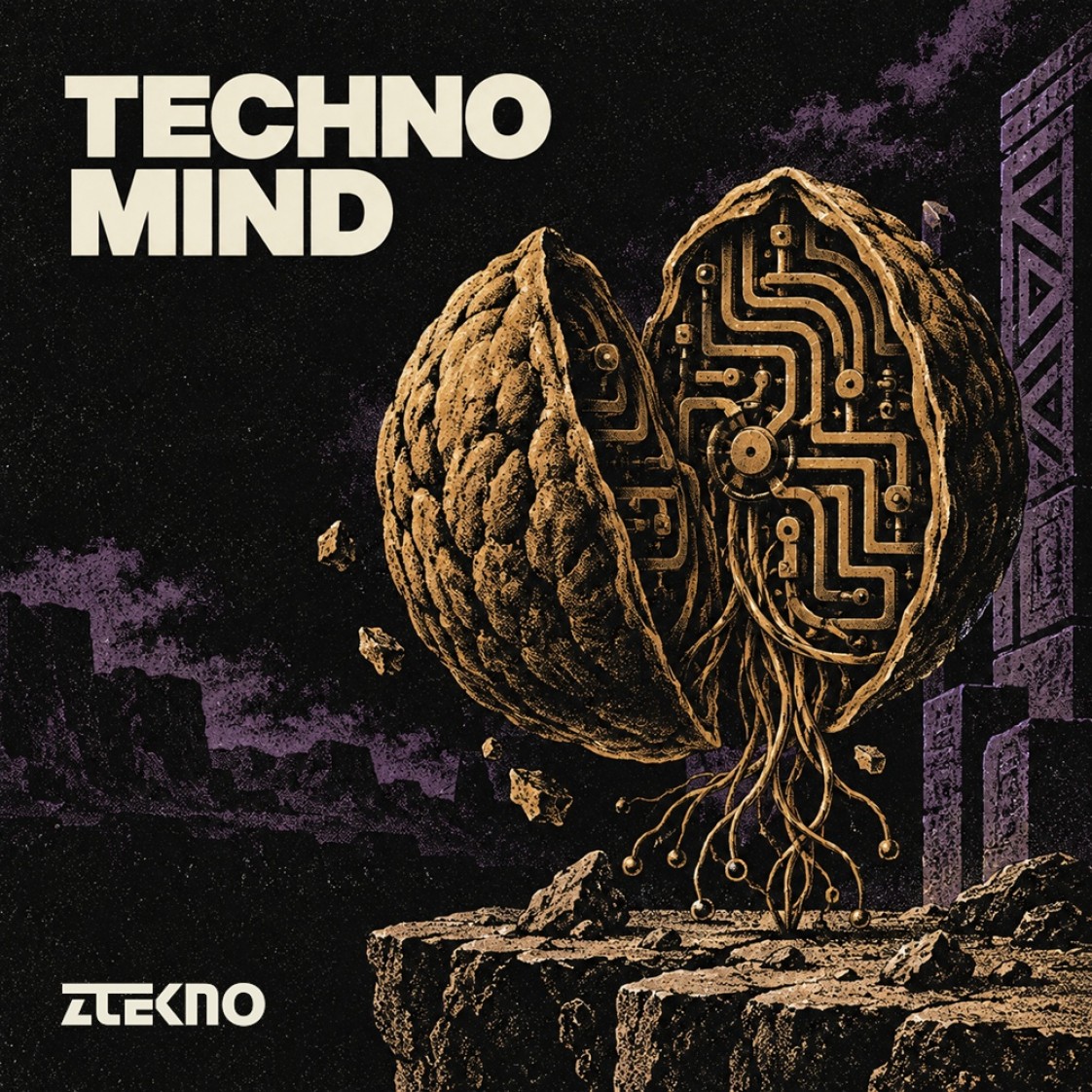 ZTEKNO Techno Mind sample pack | 100% Royalty-Free
