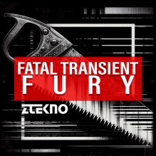 Fatal Transient Fury