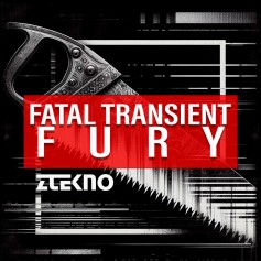 Fatal Transient Fury