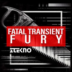 Fatal Transient Fury