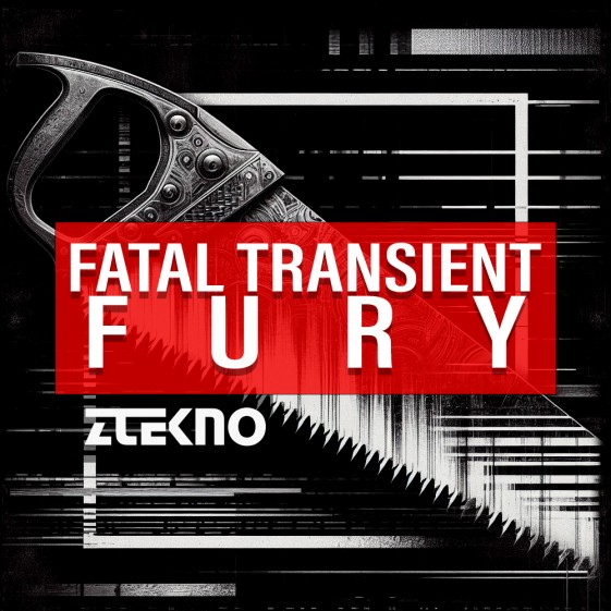 Fatal Transient Fury