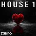 House 1