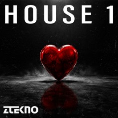 House 1