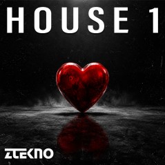 House 1