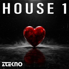 House 1