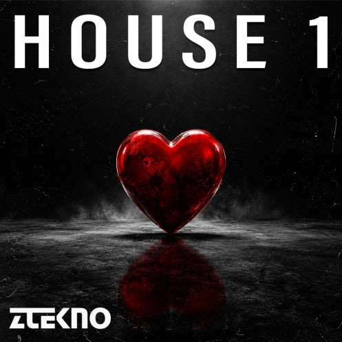 House 1