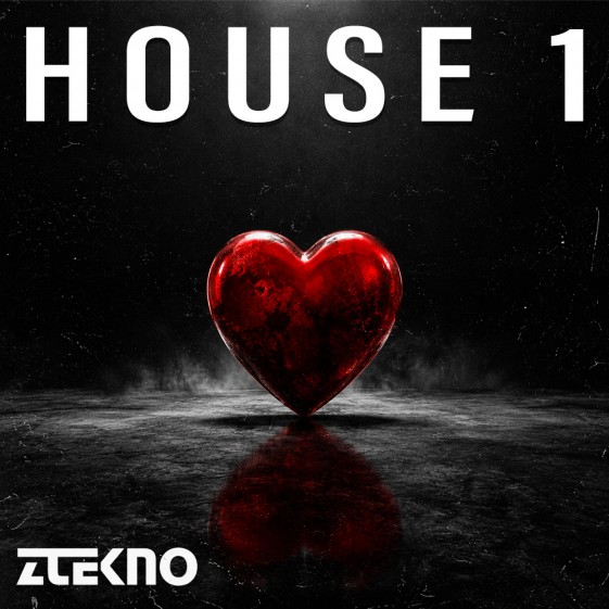 House 1