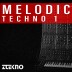 Melodic Techno 1