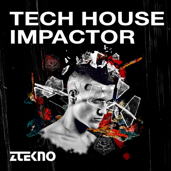 Tech House Impactor