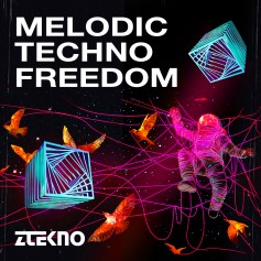 Melodic Techno Freedom Melodic Techno Freedom