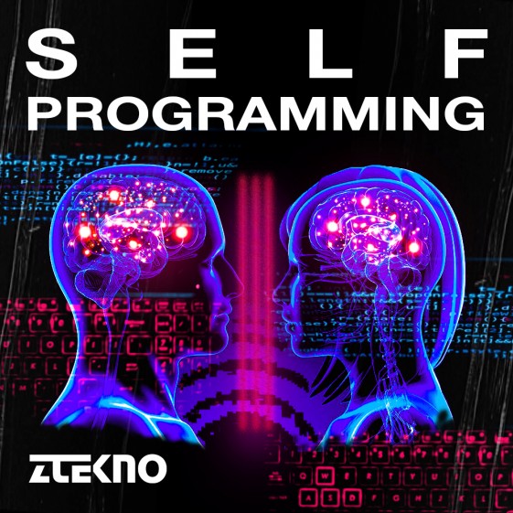 Self Programming