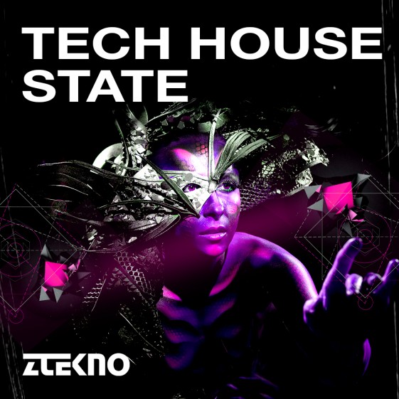 Tech House State