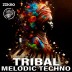 Tribal Melodic Techno (Afro Melodic Techno)